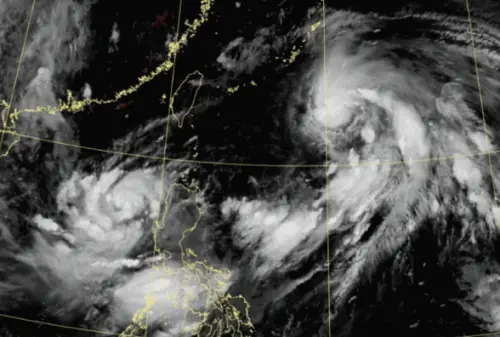 颱風動態整理！范斯高、竹節草「路徑、風雨、停班課機率」一次看
