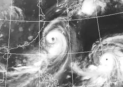 藤原效應是一種種雙颱風交互作用現象,若兩個颱風靠近至1000公里左右時,它們將相互繞著相連的軸線做環狀反時鐘方向旋轉,旋轉中心的位置,由2個颱風的相對質量及颱風環流的強度來決定。(圖/中央氣象署) ▲藤原效應是一種種雙颱風交互作用現象,若兩個颱風靠近至1000公里左右時,它們將相互繞著相連的軸線做環狀反時鐘方向旋轉,旋轉中心的位置,由2個颱風的相對質量及颱風環流的強度來決定。(圖/中央氣象署)