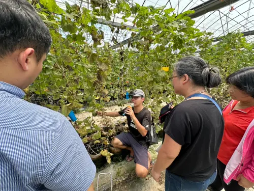 ▲二代青農吳侑哲介紹「幸福a味農園」所栽種的美濃瓜。（圖／嶺東科大提供）