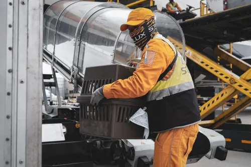 星宇榮獲IATA CEIV Live Animals認證
