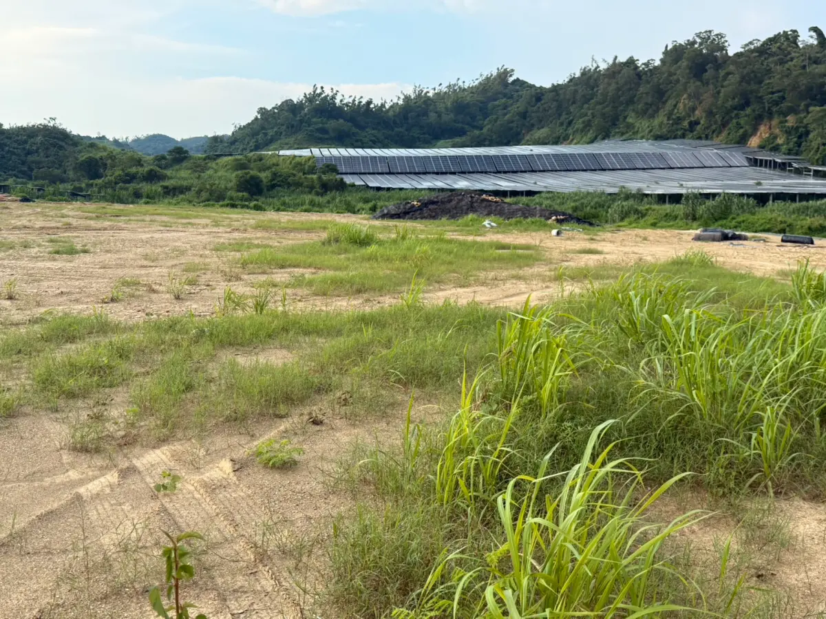 和山光電業者遭押 高市府支持司法嚴辦嚴懲