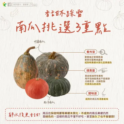 ▲南瓜不踩雷的挑選3重點，要看外型、摸表面和聞味道。（圖／鮮享農YA - 農糧署臉書）