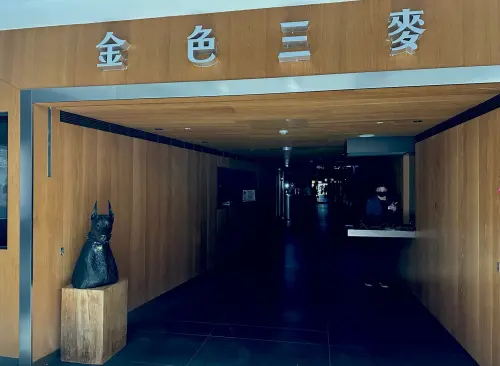 DREAM PLAZA首日發生跳電,店家黑漆漆一片。(圖/記者鍾怡婷攝) ▲DREAM PLAZA首日發生跳電,店家黑漆漆一片。(圖/記者鍾怡婷攝)