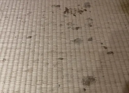 冷氣突然噴出冰,冰塊也掉落在地板上。(圖/Threads@ruei4._授權提供) ▲冷氣突然噴出冰,冰塊也掉落在地板上。(圖/Threads@ruei4._授權提供)