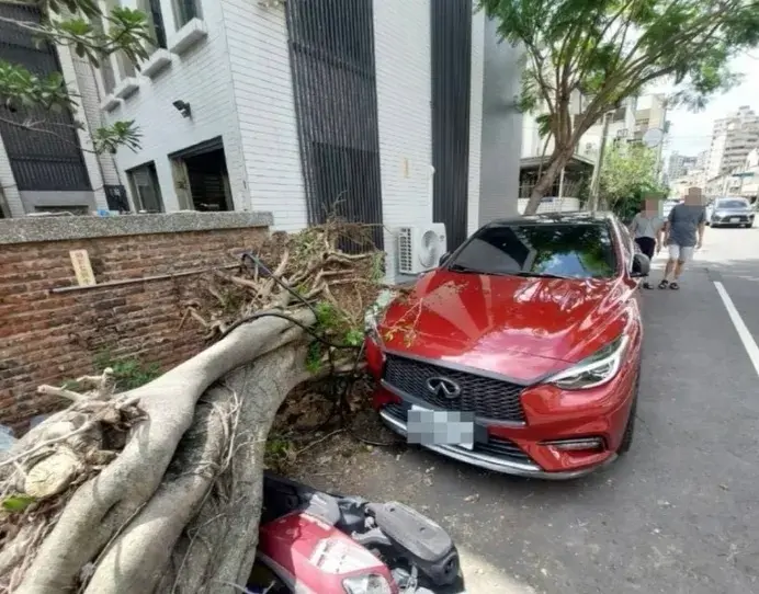 又一起倒塌意外！台中路樹橫躺馬路中央 波及1輛轎車、2台機車