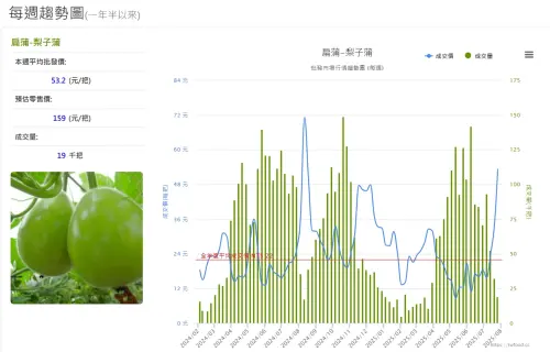 ▲蒲瓜（扁蒲-梨子蒲）本周平均批發價一把53.2元，相較全年度成交均價22元，漲幅約141.8%。（圖／當季好蔬果網站）