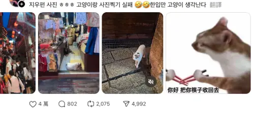 ▲（圖／翻攝自Threads）