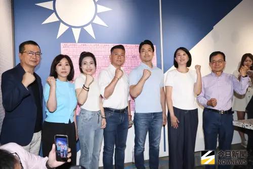 726大罷免／7藍委過25％門檻　綠要角分析：持平而論不算失敗
