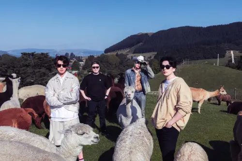 ▲ 陳柏霖（左起）、草野大成、黃宣和新田真劍佑要在羊駝群中找到線索。（圖／出去一下提供）