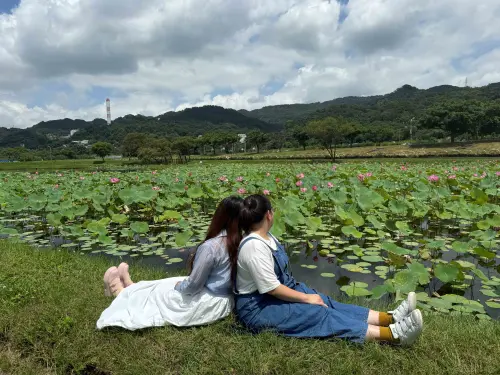 ▲（圖／新北市政府高灘地工程管理處）