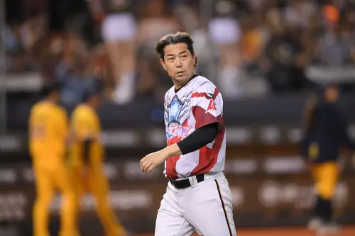 中職／出棒過半不能挑戰！統一獅、台鋼爭議判決　林岳平不滿抗議
