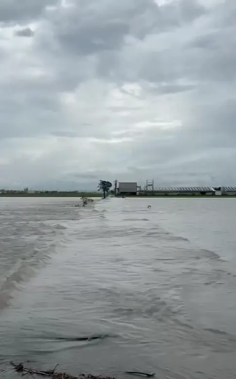 ▲（圖／Threads＠sun.farm_chiayi授權）