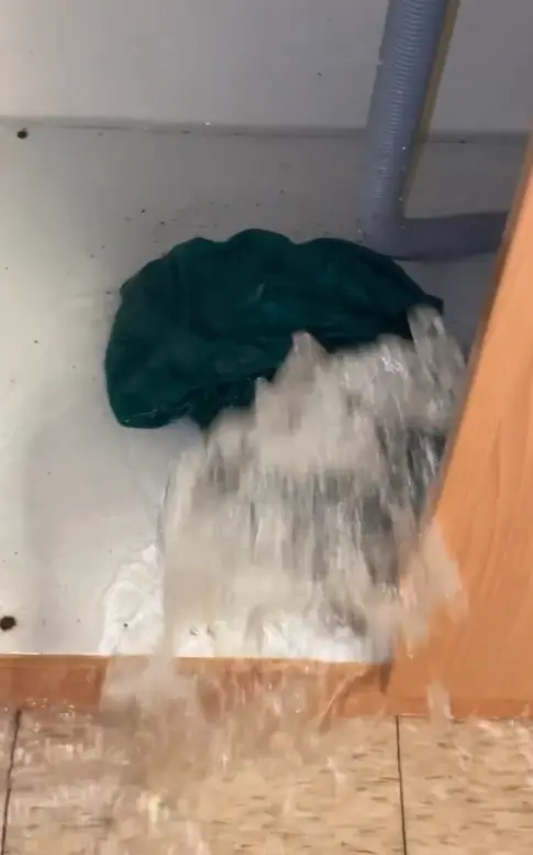 ▲（圖／Threads＠no_mercy_0517授權）