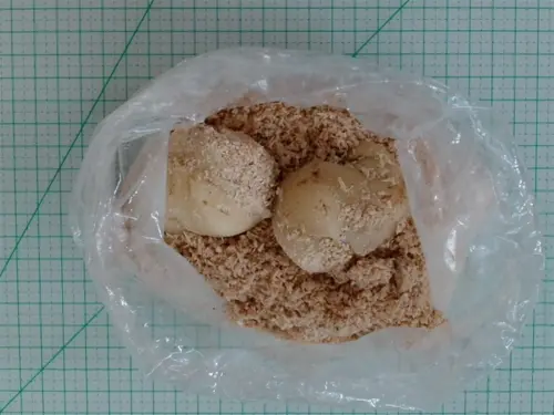 ▲日本空運北海道百合檢出含有農藥多重殘留分析、殺菌劑-二硫代和胺基甲酸鹽類，以及重金屬-鉛、鎘。（圖／北市衛生局）