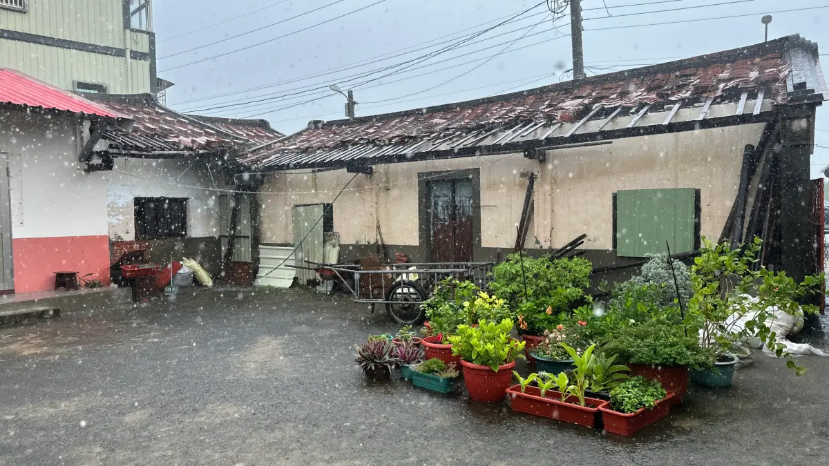 ▲嘉義今（28）日降下豪雨，造成當地出現積淹水災情，老家在布袋的陳小姐向《NOWNEWS》表示，外公家屋頂毀損，到現在都沒修好，電視訊號更是從丹娜絲來襲後就沒恢復！（圖／陳小姐提供）