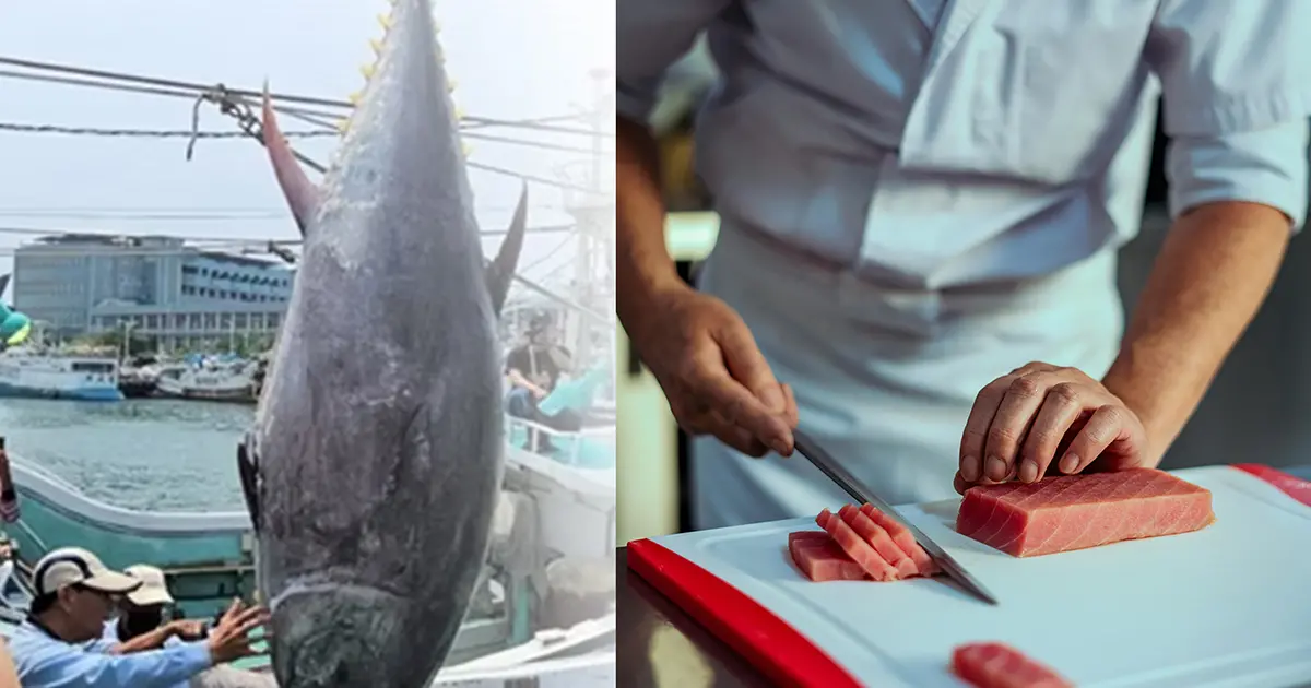 台灣美食展屏東館 將登場50公斤現剖鮪魚秀、產地直送海鮮