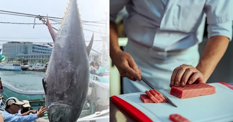 ▲由職人展演完整解體流程，帶領民眾認識每一塊鮪魚的風味與用途。（圖／2025屏東黑鮪魚文化觀光季官方網站、pexels圖庫）