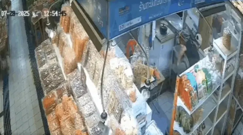 ▲泰國市場槍擊案影片流出，只見女攤販驚慌躲入貨櫃中求饒仍被槍殺。（圖／翻攝自影片）