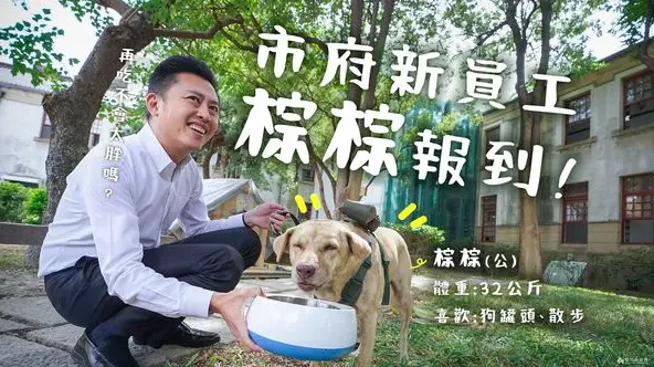 林智堅退貨棕棕至今無回應！劉康彥：目前找到有意願認養的人