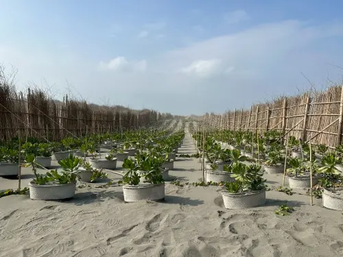 ▲全台首例!公私協力海岸造林碳匯專案。（圖／市府提供）