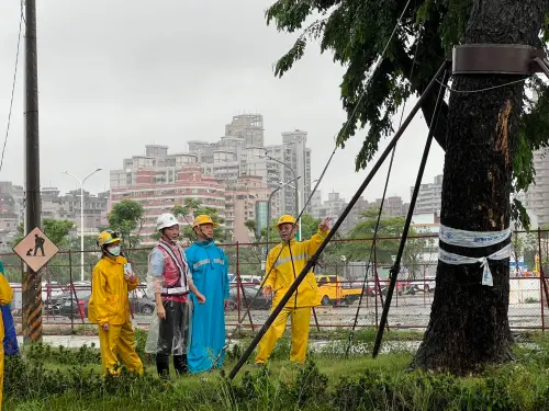 ▲吳嘉昌關注輕軌沿線的雨豆樹、小葉欖仁保全措施與排水系統運作。(圖/高雄市政府提供) ▲吳嘉昌關注輕軌沿線的雨豆樹、小葉欖仁保全措施與排水系統運作。(圖/高雄市政府提供)