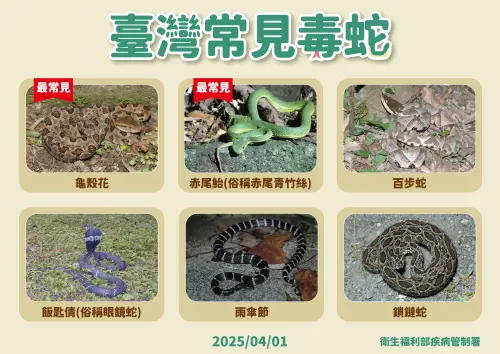 ▲疾管署提到，台灣常見有6種毒蛇。（圖／疾管署提供）