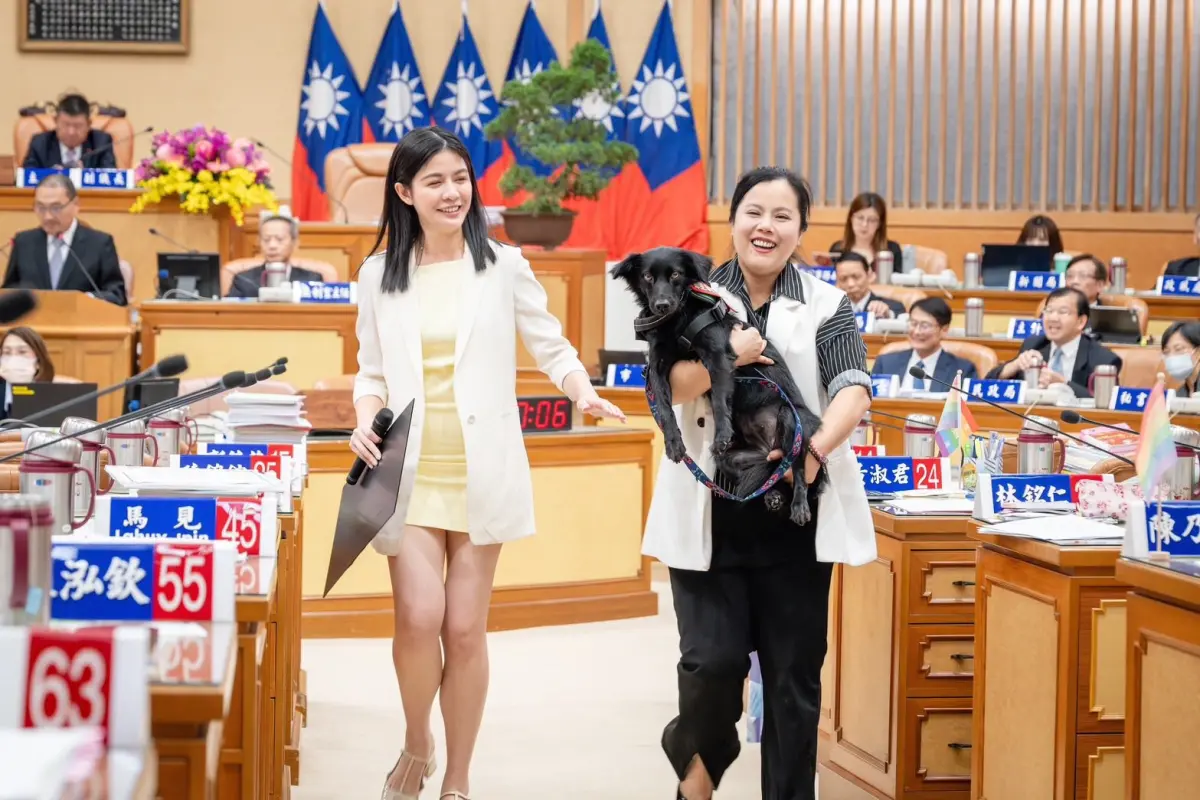 ▲新竹前市長林智堅爆遭棄養「市犬棕棕」，新北市議員戴湘儀（左）怒批，別拿動保來作秀。（圖／翻攝自戴湘儀臉書）