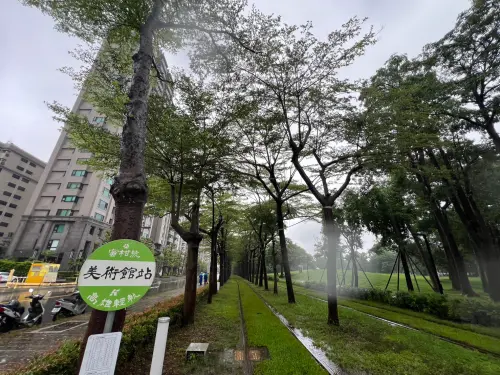 ▲輕軌大順路段的雨豆樹群是輕軌與美術館路段的小葉欖仁綠廊,是輕軌營運安全的防汛重點。(圖/高市府捷運局提供) ▲輕軌大順路段的雨豆樹群是輕軌與美術館路段的小葉欖仁綠廊,是輕軌營運安全的防汛重點。(圖/高市府捷運局提供)