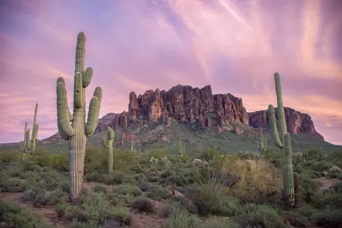 ▲鳳凰城位於美國亞利桑那州，以壯觀的沙漠奇景、溫暖乾燥氣候聞名，也是大西南地區的重要交通與文化樞紐。（圖／星宇航空提供）