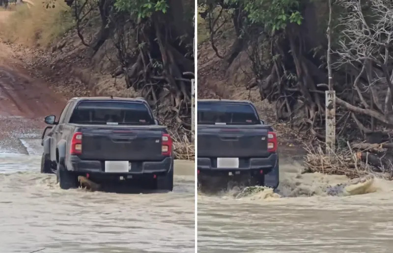 澳洲小貨車渡河車底爬出「超巨大鱷魚」猛掙扎驚險畫面曝
