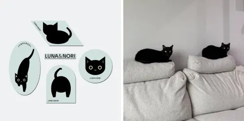 ▲施博瀚也為家裡貓咪LUNA&NORI經營社群，IG：blackcat_taiwan 。（圖／施博瀚提供）