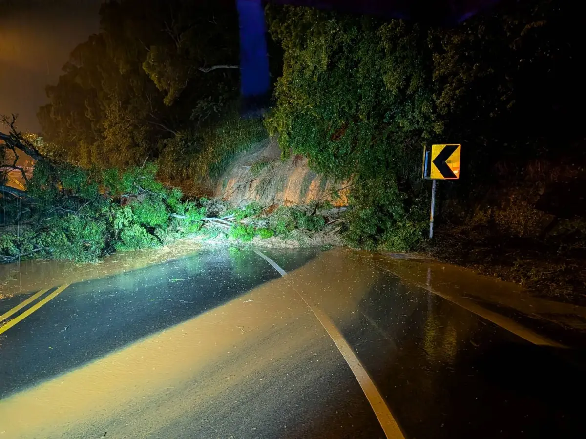 ▲彰化市、花壇鄉的八卦山區，多處路樹倒塌無法通行。（圖／彰化警方提供，2025.07.31）