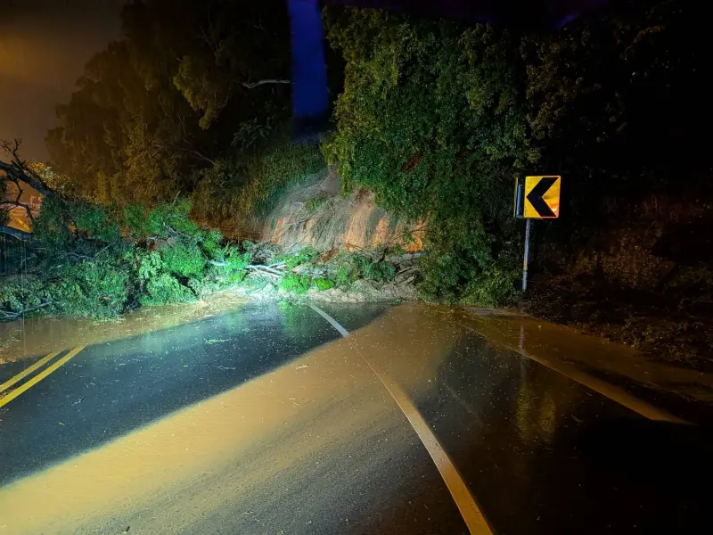 ▲彰化市、花壇鄉的八卦山區，多處路樹倒塌無法通行。（圖／彰化警方提供，2025.07.31）