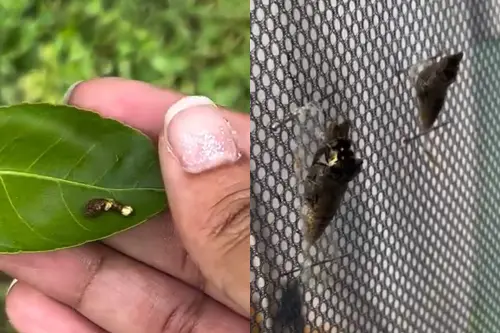 (圖/instagram@talalovesyou) ▲(圖/instagram@talalovesyou)