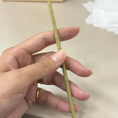 ▲（圖／翻攝Threads）