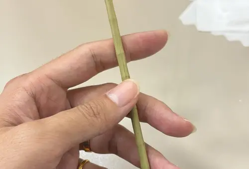 摩斯漢堡吸管不一樣了！大改版原因曝光　他喝一口傻眼：味道超重
