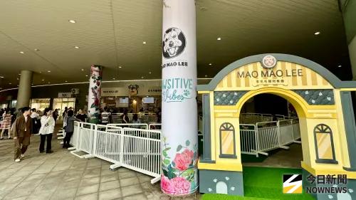 ▲「李毛毛寵物友善咖啡廳」不僅設有寵物運動公園，還特別設置小型搖搖馬等設施，讓親子客群與毛小孩能共享歡樂時光。（圖／記者陳美嘉攝，2025.07.31）