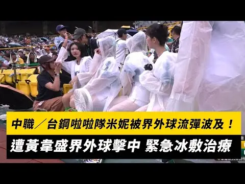 中職／台鋼啦啦隊米妮被界外球流彈波及！遭黃韋盛界外球擊中 緊急冰敷治療｜NOWNEWS