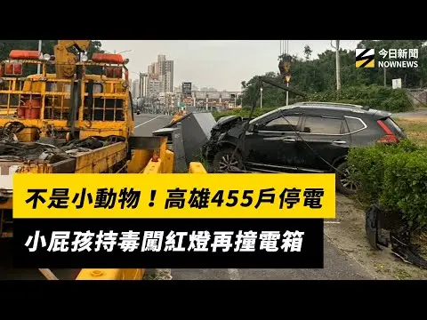 不是小動物！高雄455戶停電　小屁孩持毒闖紅燈再撞電箱｜NOWNEWS #cc字幕