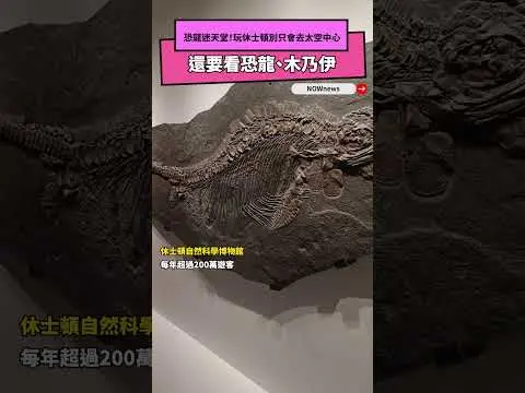 恐龍迷天堂！玩休士頓別只會去太空中心　還要看恐龍、木乃伊｜NOWNEWS