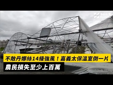 不敵丹娜絲14級強風！嘉義太保溫室倒一片　農民損失至少上百萬｜NOWNEWS #cc字幕