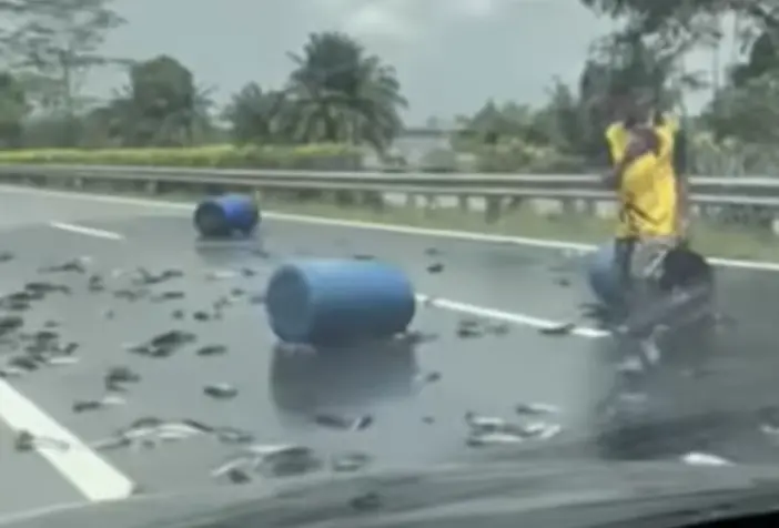 ▲大馬高速公路上載有鮮魚的貨車翻覆。（圖／翻攝自X）
