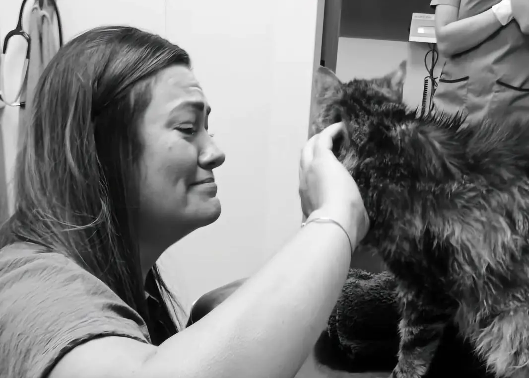 ▲英國一名女子的貓咪走失多年，她原以為愛貓早已消失在歲月中，沒想到多年後竟因為掃描晶片再次找回彼此，貓咪奇蹟般地與失聯13年的主人重逢，沒多久後貓人卻又再度天人永隔。（圖／取自臉書粉專「Vets Now」）