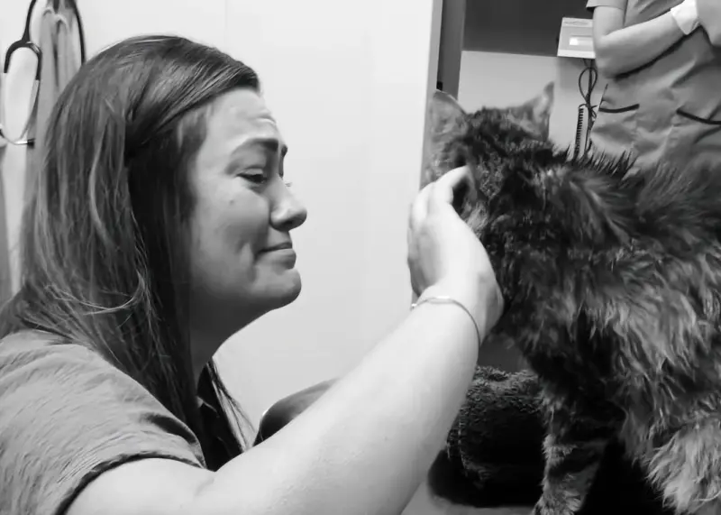 ▲英國一名女子的貓咪走失多年，她原以為愛貓早已消失在歲月中，沒想到多年後竟因為掃描晶片再次找回彼此，貓咪奇蹟般地與失聯13年的主人重逢，沒多久後貓人卻又再度天人永隔。（圖／取自臉書粉專「Vets Now」）