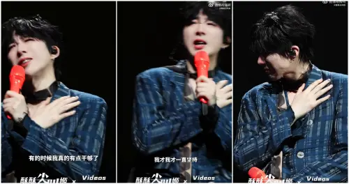 ▲被嫌古裝醜男、照片遭踩！劉宇寧演唱會突落淚：我真的有點幹夠了（圖／微博＠酥酥尖叫姬）