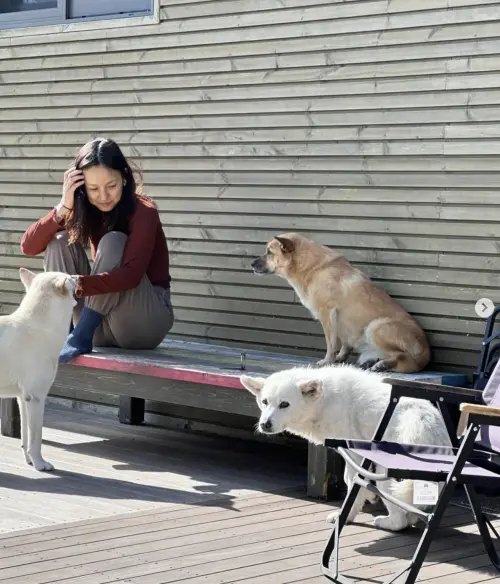 ▲李孝利是知名的愛狗人士。（圖／＠lee_hyolee IG）