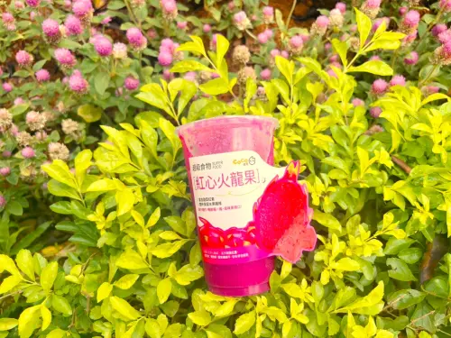 田馥甄同款「文青奶茶」神到了!漢方手搖飲料台北開幕:買一送一 ▲CoCo都可「紅果蘋安杯」中杯69元。(圖/CoCo都可提供)