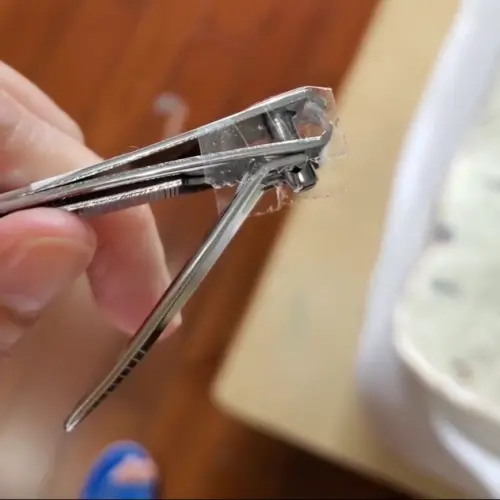 ▲在指甲剪兩側貼上膠帶,剪指甲時防止指甲屑四處噴散,剪完將兩側膠帶撕下丟棄即可。(圖/翻攝自Threads) ▲在指甲剪兩側貼上膠帶,剪指甲時防止指甲屑四處噴散,剪完將兩側膠帶撕下丟棄即可。(圖/翻攝自Threads)