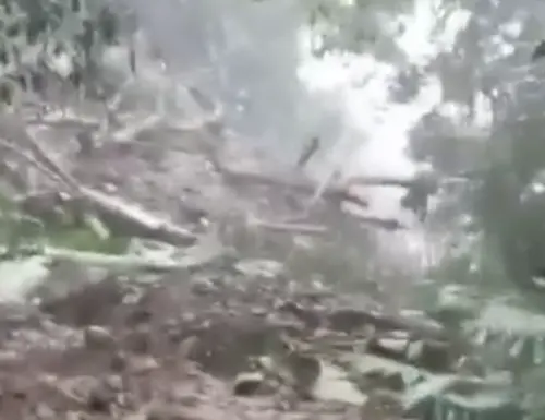 阿里山修路目睹土石流「爆發瞬間」！第一人稱視角曝　畫面太震撼
