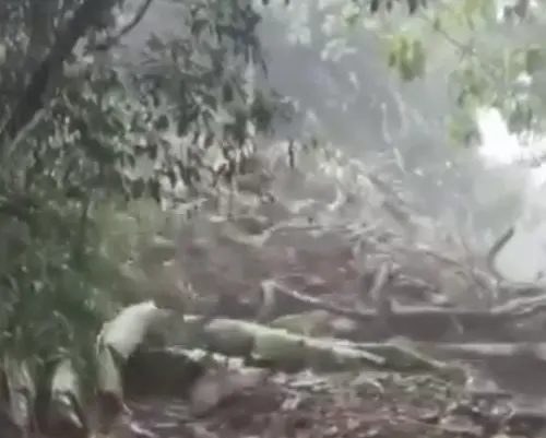 ▲濃稠泥狀的洪流,開始緩緩朝下坡移動。(圖/爆料公社) ▲濃稠泥狀的洪流,開始緩緩朝下坡移動。(圖/爆料公社)